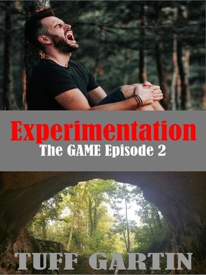 cover image of Experimentation